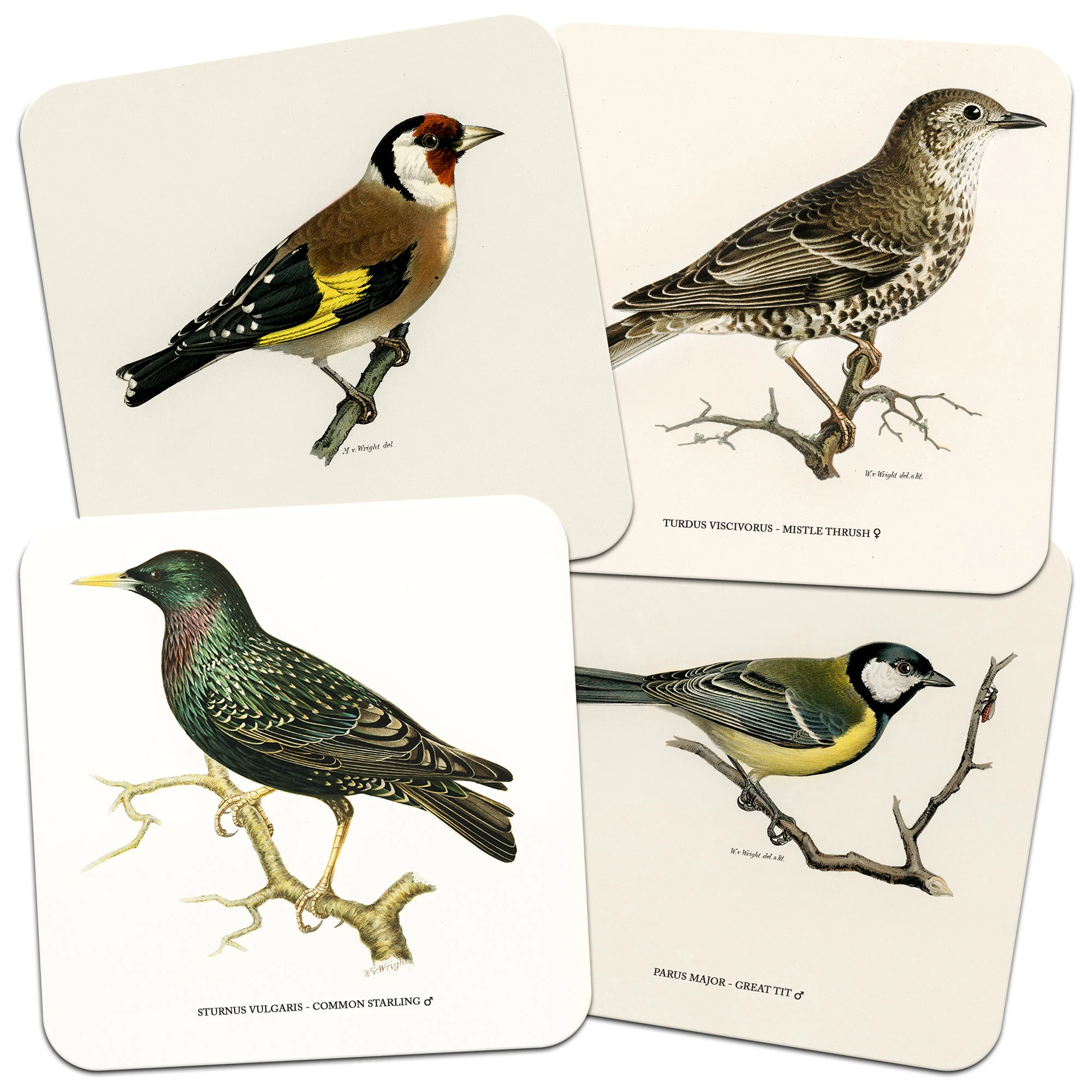 Set of 4 Garden Birds 95mm Square Cork Backed Coasters